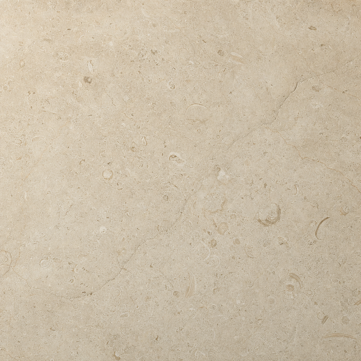 French limestone with pale champagne tone and natural fossil patterning