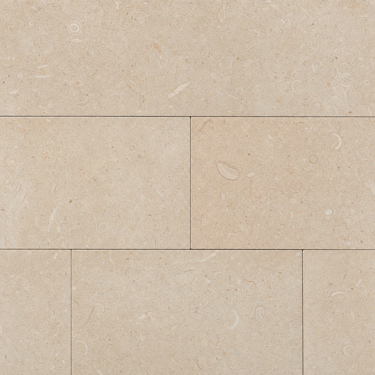 Florida keystone coral shellstone pavers with fossilized shell impressions